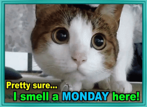 I Smell A Monday Here GIF