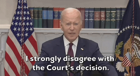 I Strongly Disagree With Supreme Court Decision GIF