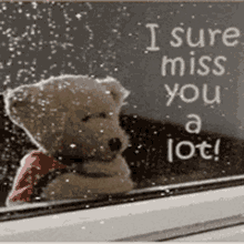 I Sure Miss You Teddy Bear GIF