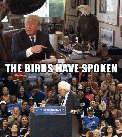 I The Birds Have Spoken Trump And Sanders GIF