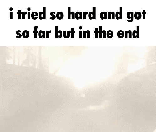 I Tried So Hard and Got So Far But In The End