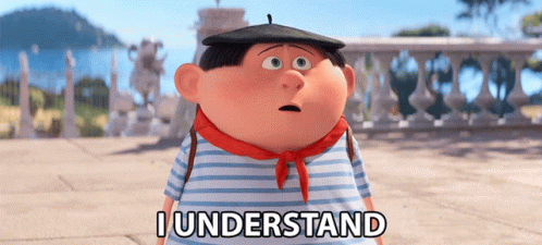 I Understand Niko Despicable Me GIF