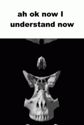I Understand Now Skull GIF