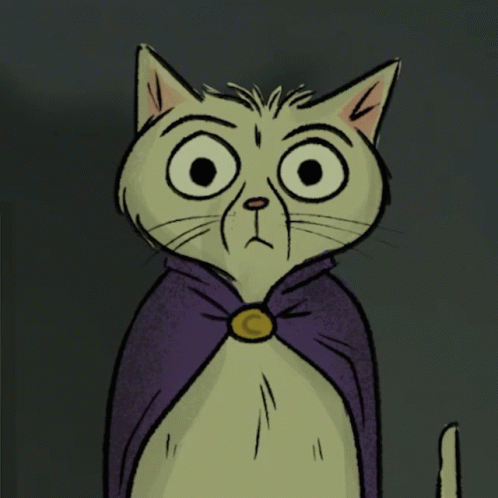 I Understand You Completely Silly Cat GIF