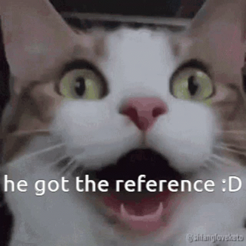 I Understood That Reference Cute Cat Reaction GIF