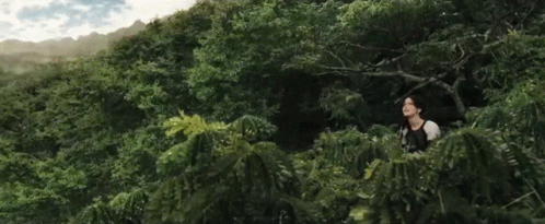 I Volunteer As Tribute Katniss Shoot Arrow Archery GIF