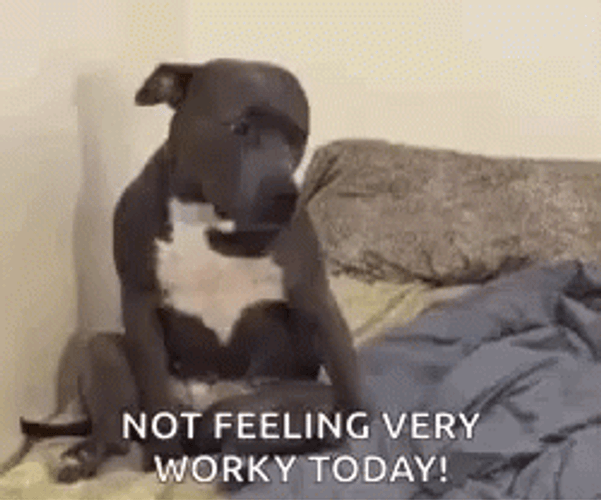 I Wanna Go Home GIF