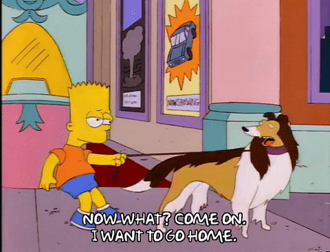 I Want To Go Home Bart Simpson GIF
