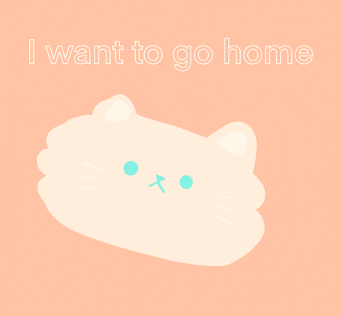 I Want To Go Home Savage Cat GIF