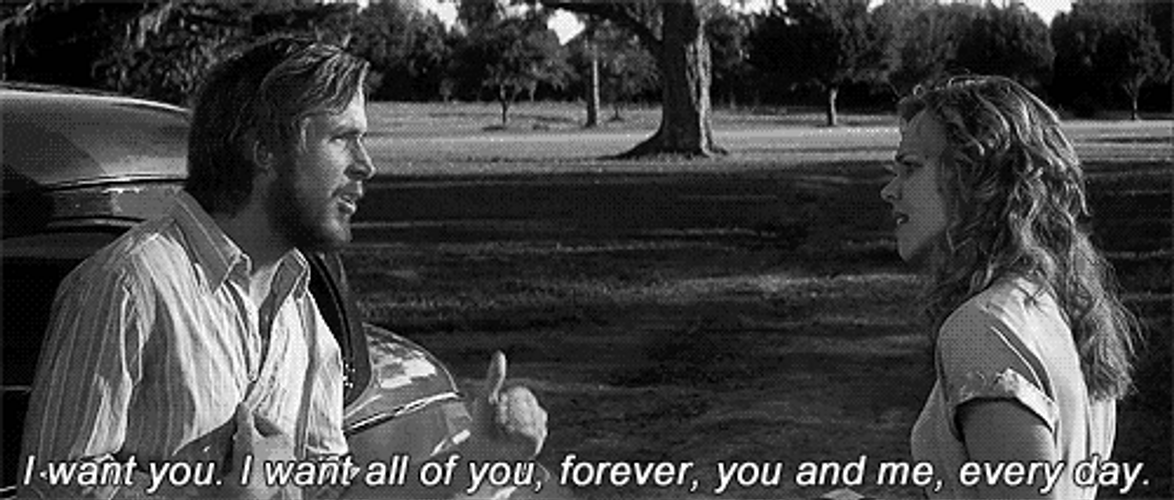 I Want You The Notebook GIF