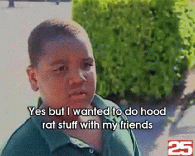 I Wanted To Do Hood Rat Stuff GIF