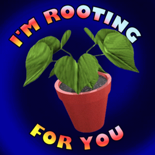 I Was Rooting For You Spinning Betel Plant GIF