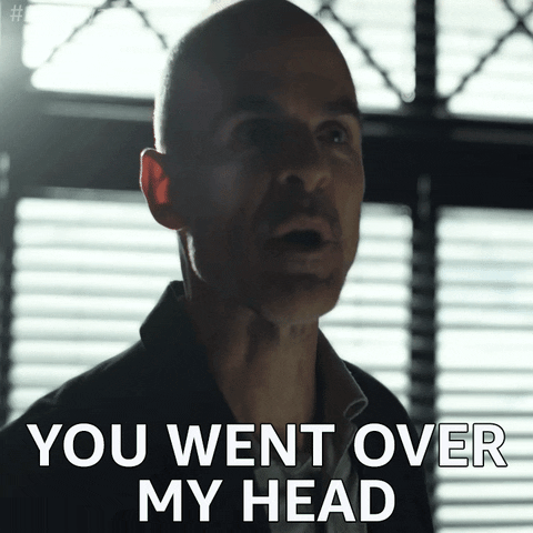 I Went Over Your Head? GIF