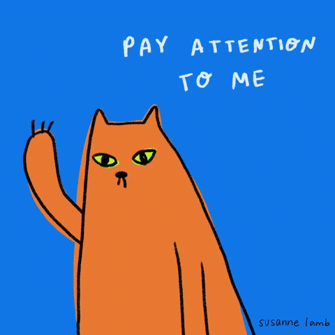 I Will Not Be Ignored Pay Attention GIF