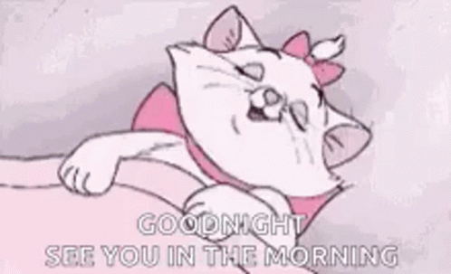 I Will See You In The Morning GIF
