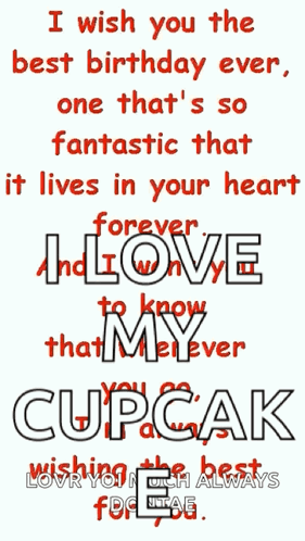 I Wish You The Best Birthday Ever And One That 'S So Fantastic That It Lives In Your Heart Forever GIF