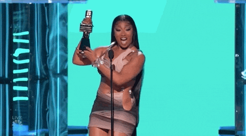I Won By Megan Thee Stallion GIF