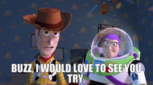 Toy Story I Would Like To See It GIF