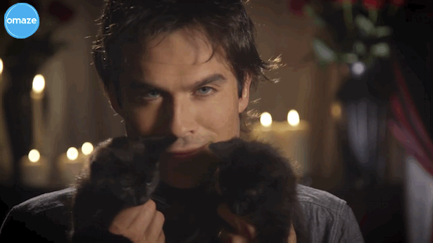 Ian Somerhalder Holding A Kitten GIF
