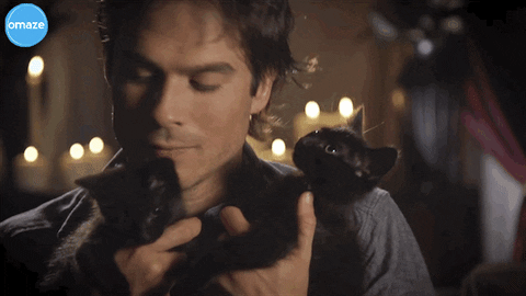 Ian Somerhalder Kissing The Kittens GIF