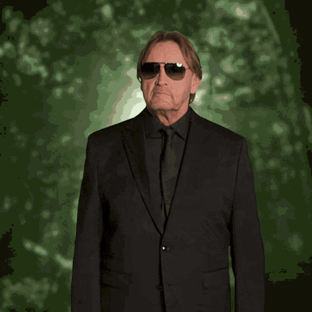 Ibes Ich Bin Ein Star Holt Mich Hier Raus Gif GIF