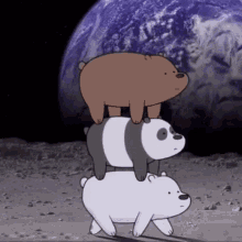 Ice Bear Grizzly Panda On The Moon Top GIF