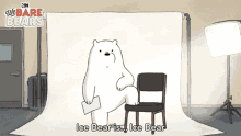 Ice Bear Is Photoshoot Studio GIF