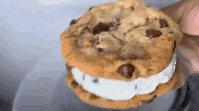 Ice Cream Cookie Sandwich GIF