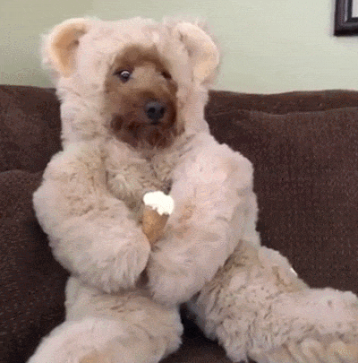 Ice Cream Dog Teddy Bear GIF