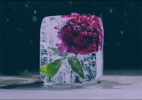 Ice Cube With Purple Flower