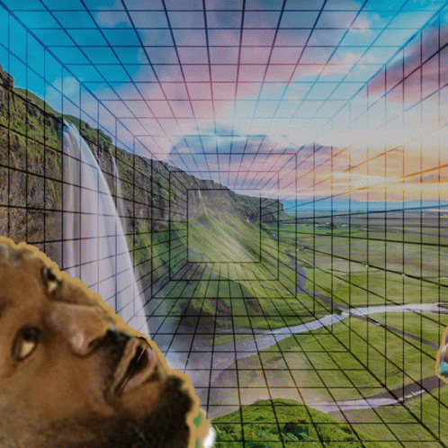 Ice Cubes Being Deep Fried