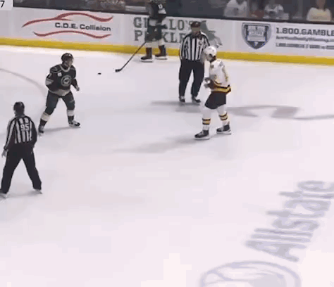 Ice Hockey Players Fighting