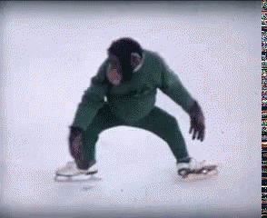 Monkey Ice Skating GIF
