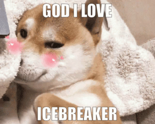 Icebreaker Shiba Inu Blush GIF