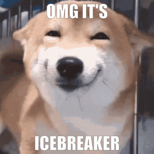 Icebreaker Smiling Shiba Inu GIF