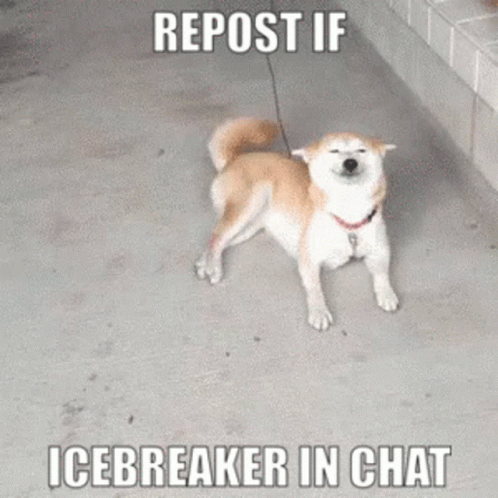 Icebreaker Wriggly Tail Shiba GIF