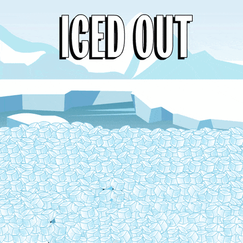 Iced Out Penguin With Baseball Cap