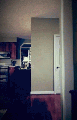 Ickey Shuffle Side Slide Dance GIF