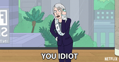You Idiot Katrina Bojack Horseman GIF