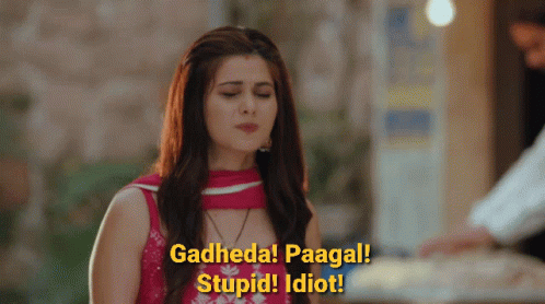 Super Idiot Lady GIF