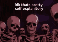 Idk I Don't Know That's Self Explanatory Skeleton GIF