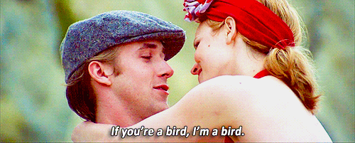 If You're A Bird The Notebook GIF