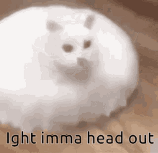 Ight Imma Head Out Funny Cat Roomba GIF