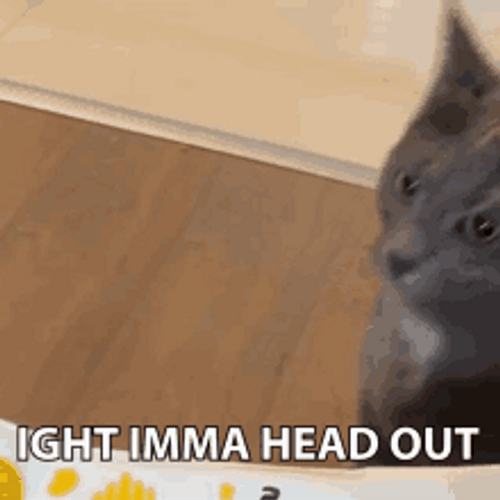 Ight Imma Head Out Funny Cat Sneaking GIF