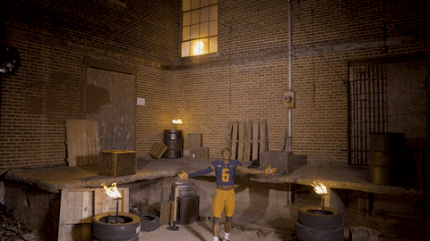 Illinois Fighting Illini Grandiose Introduction GIF