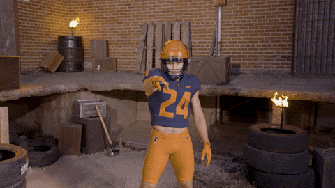 Illinois Fighting Illini Jersey 24 Pointing GIF