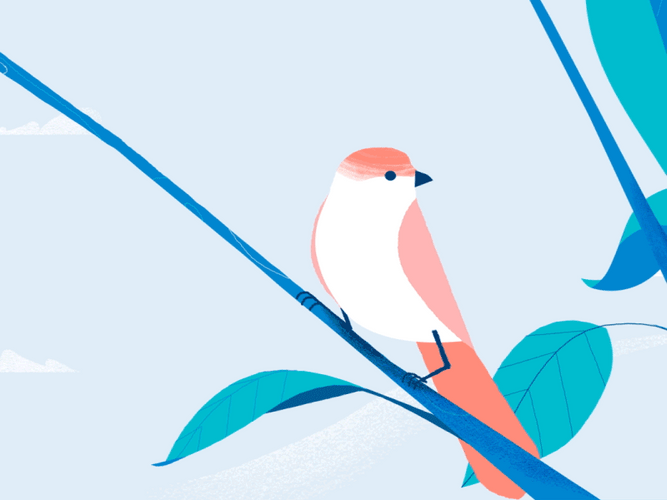 Illustration Nature Tree Bird GIF