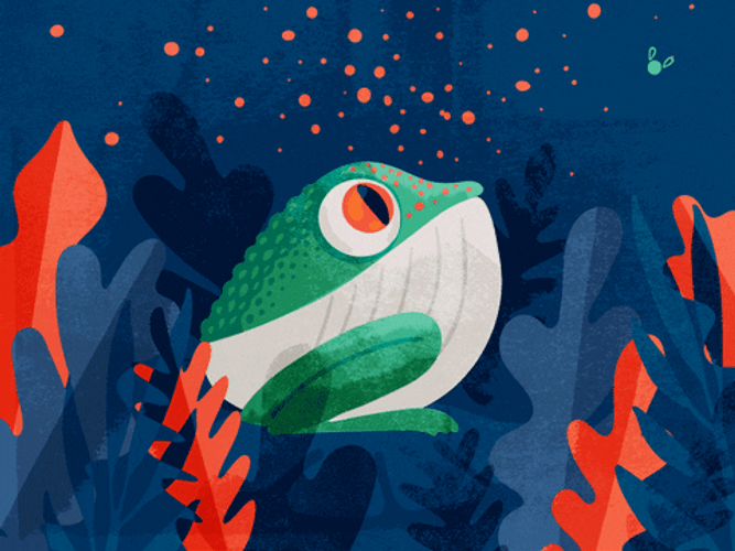 Illustration Of Nature And Frog GIF