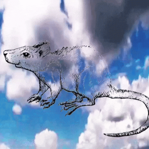 Illustration Sky Rat Showering GIF