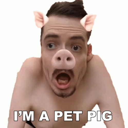Im A Pet Pig GIF